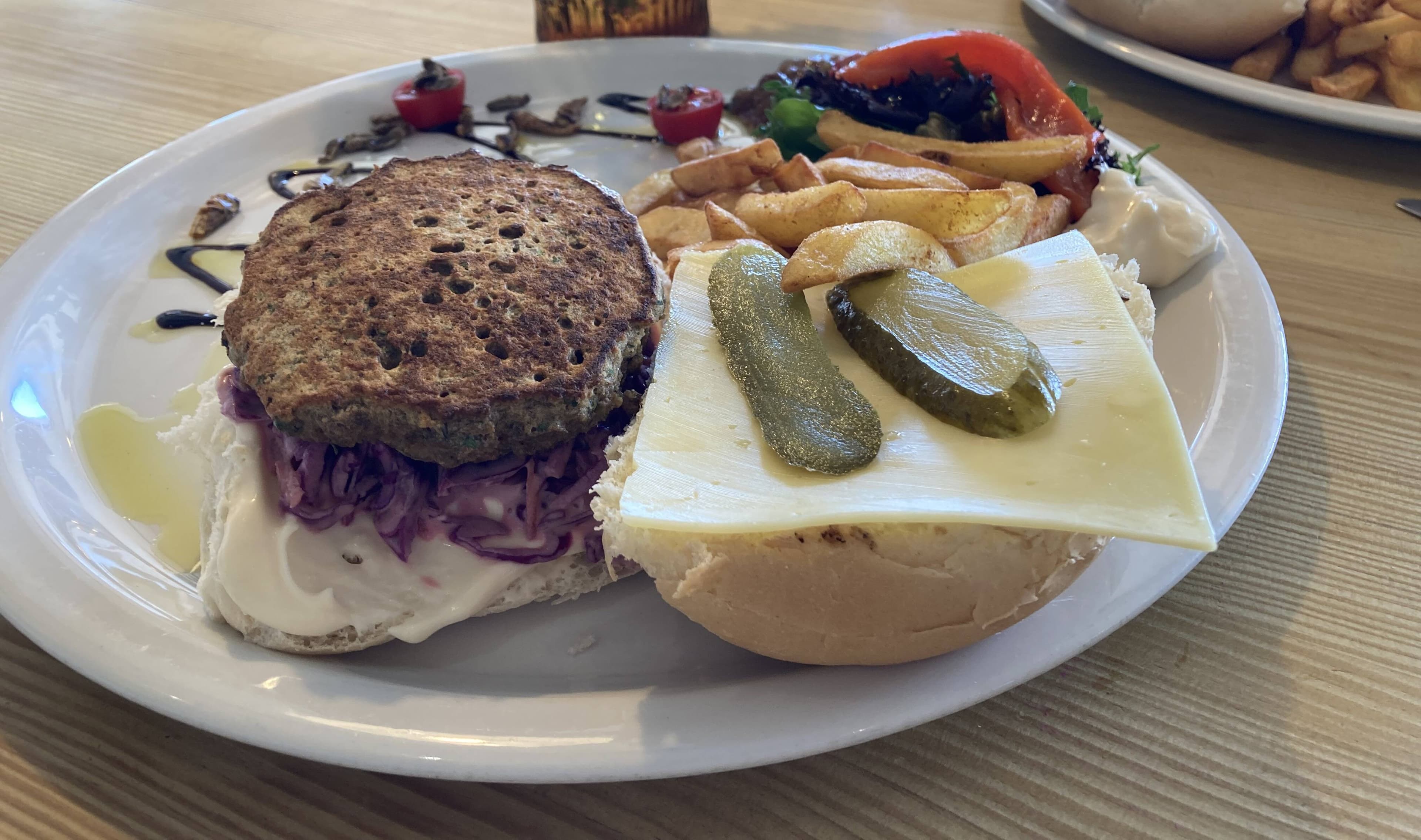 Bug Farm burger. Picture by Sue Preston