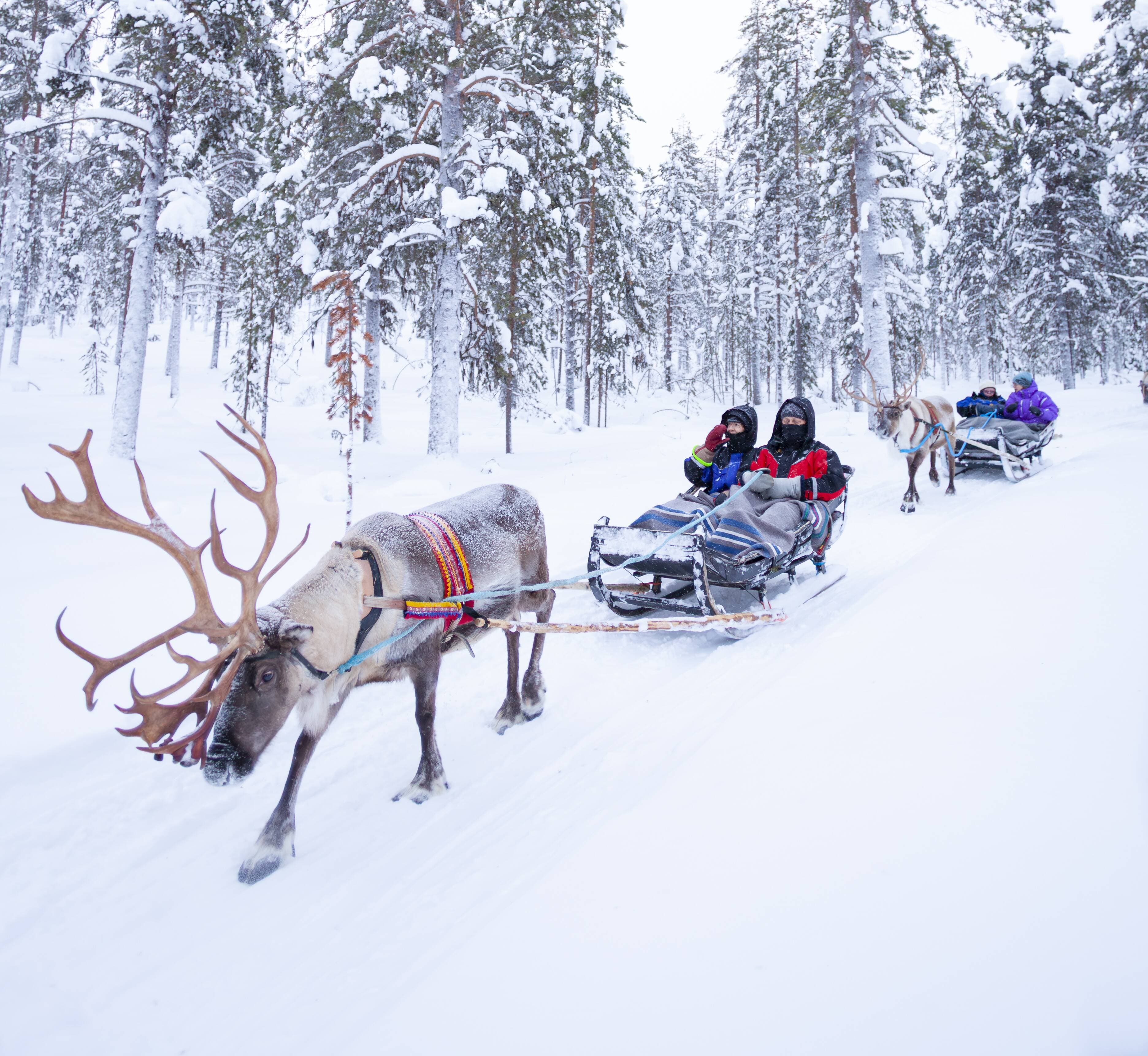 Picture by Mark Daffey