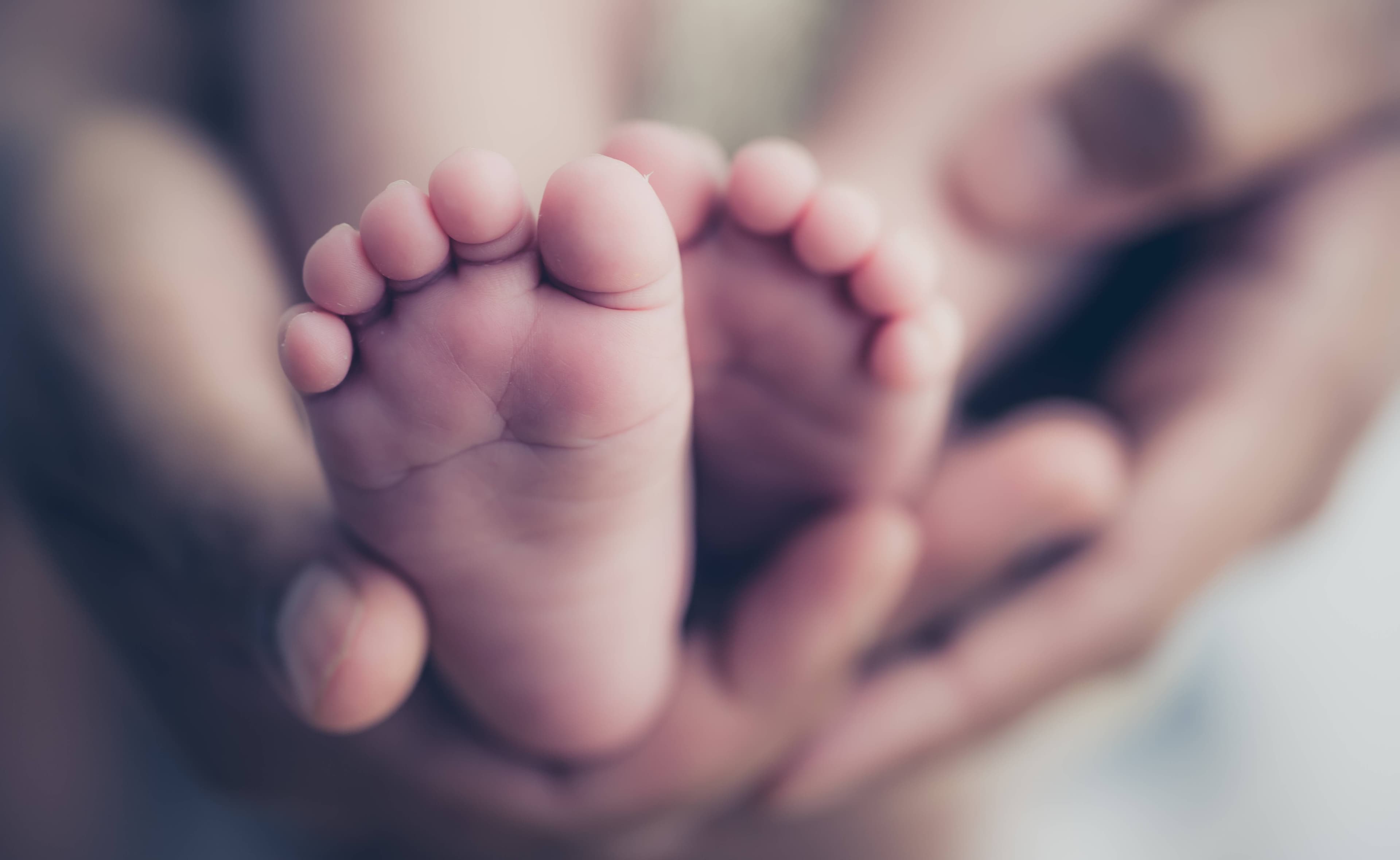 The Tasmanian government has announced how much it will compensate mothers whose children were forcibly removed from them. Picture by Shutterstock