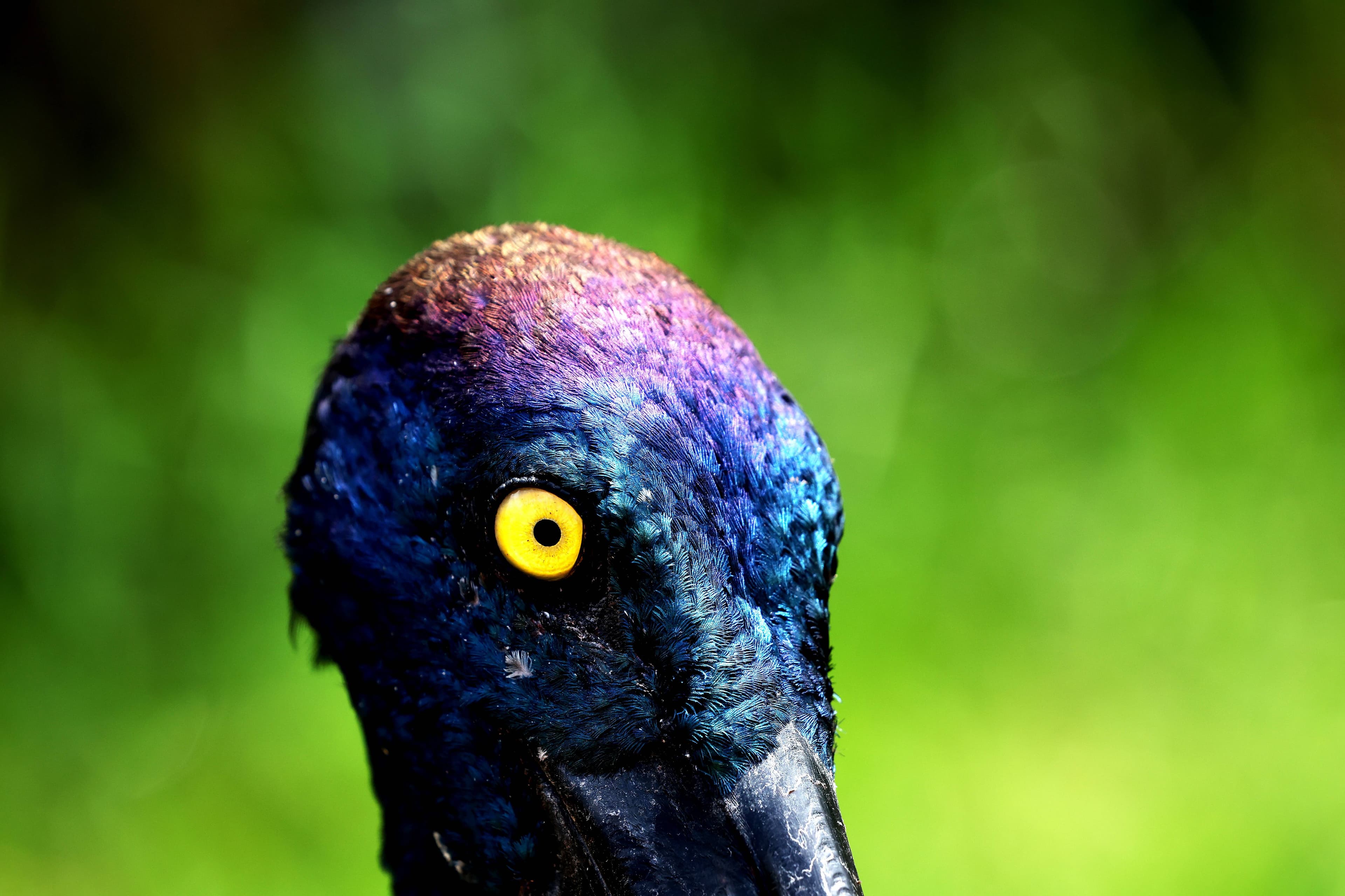 Newcastle Herald photographer Peter Lorimer gets up close and personal with some of the animals at Hunter Valley Wildlife Park. Picture Peter Lorimer