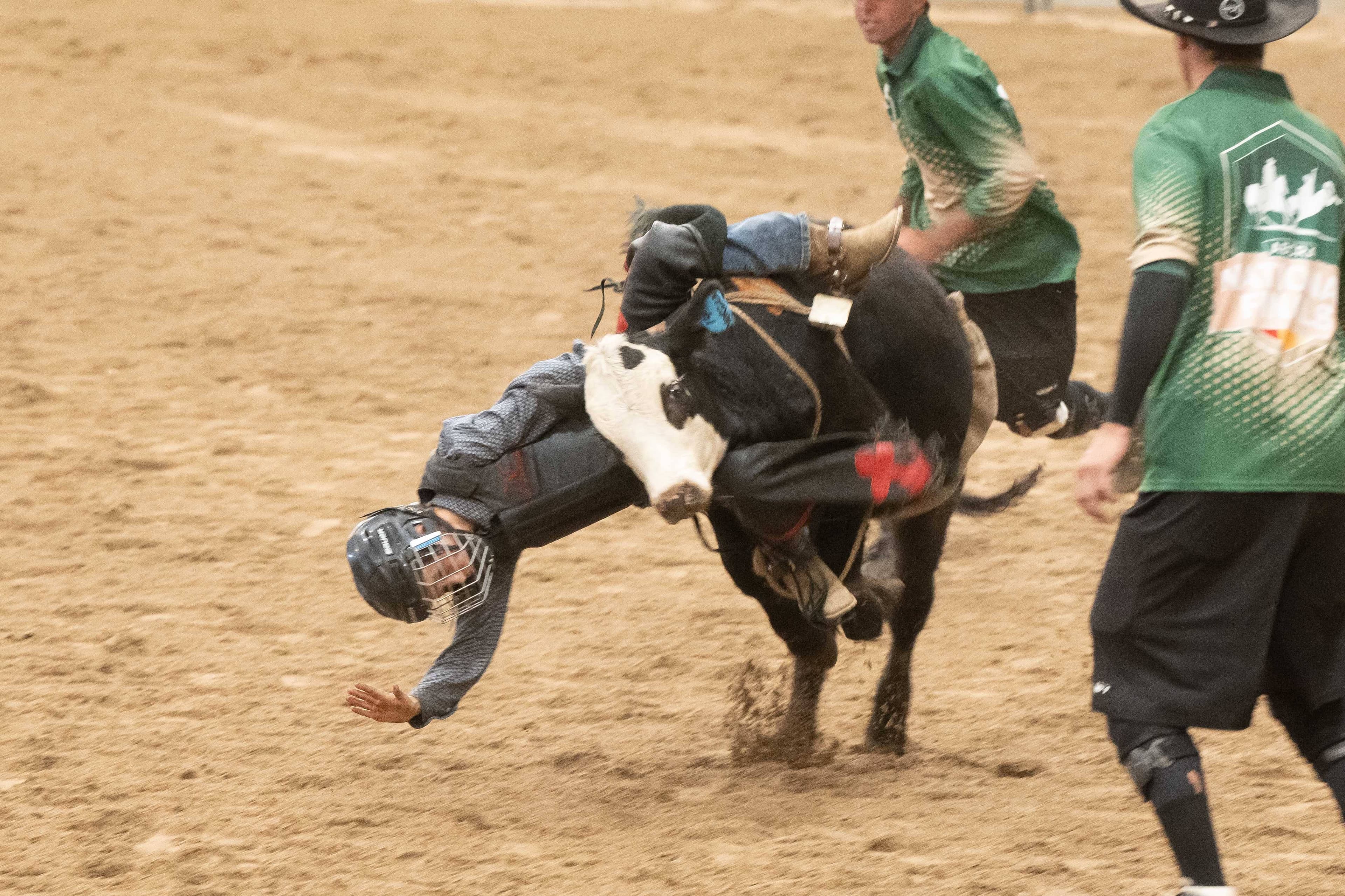 ABCRA’s 2024 National Finals Rodeo kicks off in Tamworth. Picture by Peter Hardin