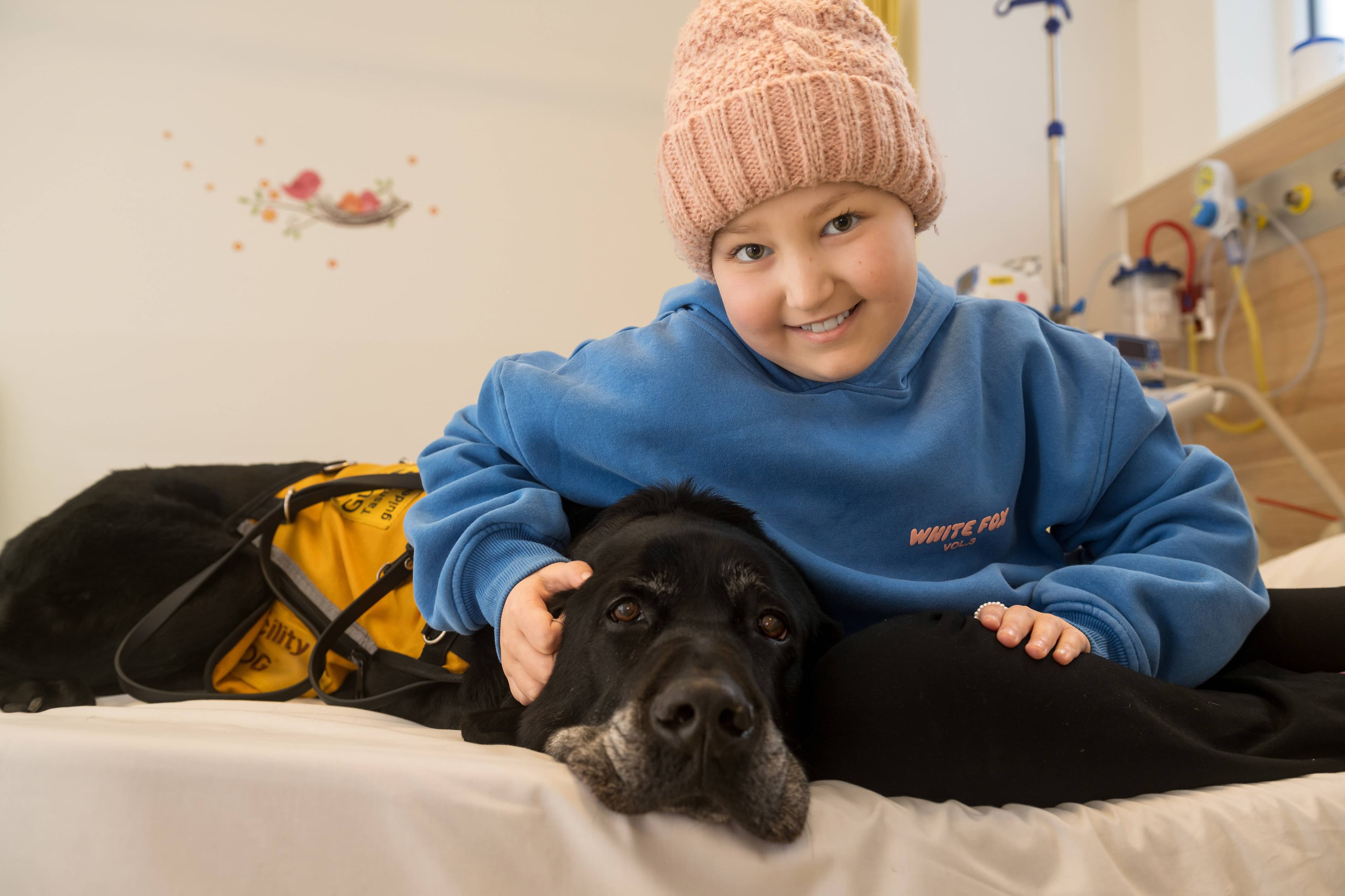 Gilbert the facility dog makes younger patients at the Launceston General Hospital feel more at ease when receiving treatment. Picture by Phillip Biggs