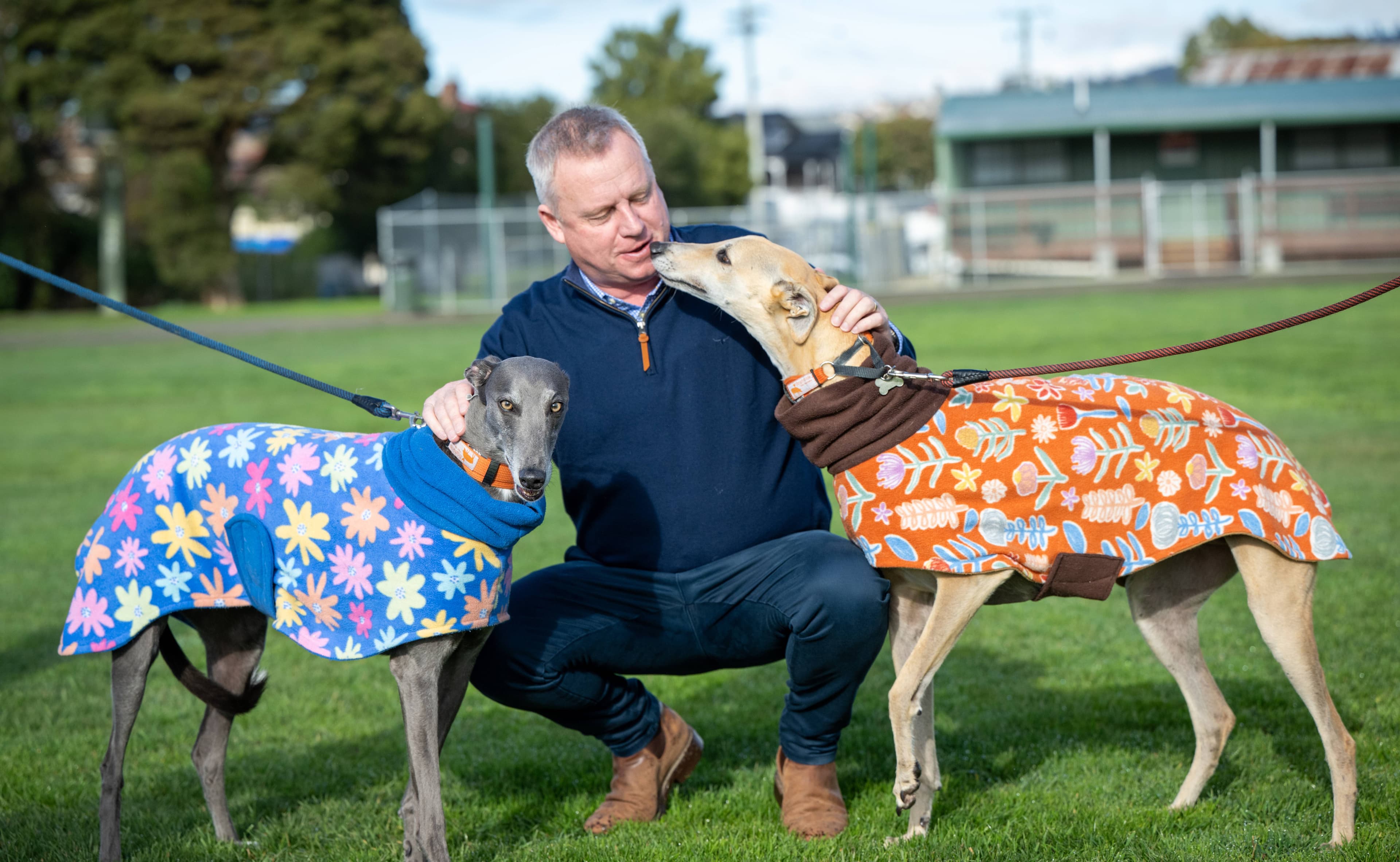 Premier Jeremy Rockliff with Billy and Happy while announcing a greyhound racing ban in August.