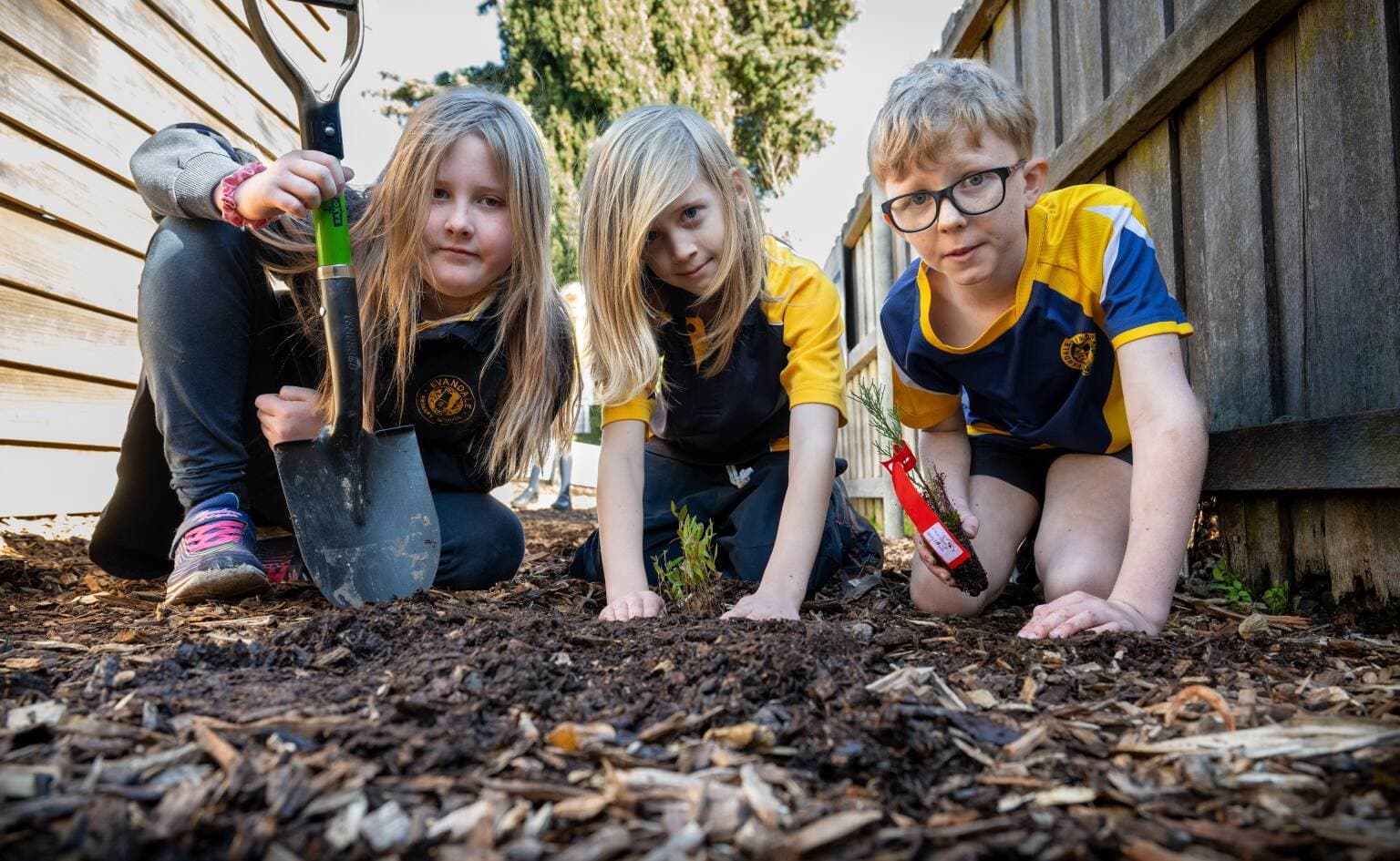 Evandale Primary students Ella Ripper 9, Arlo Bracey 9 and Wallace Van Engen 10 for Schools Tree Day on August 8.