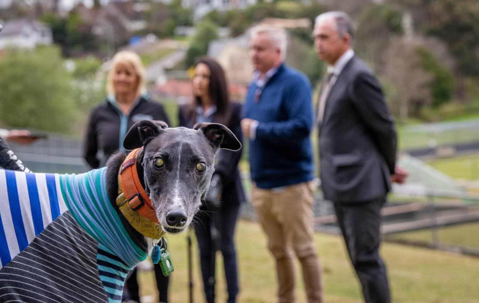 Jimmy owned by Rosie Saville, co-founder of GREAT, in front of the press conference on August 10.