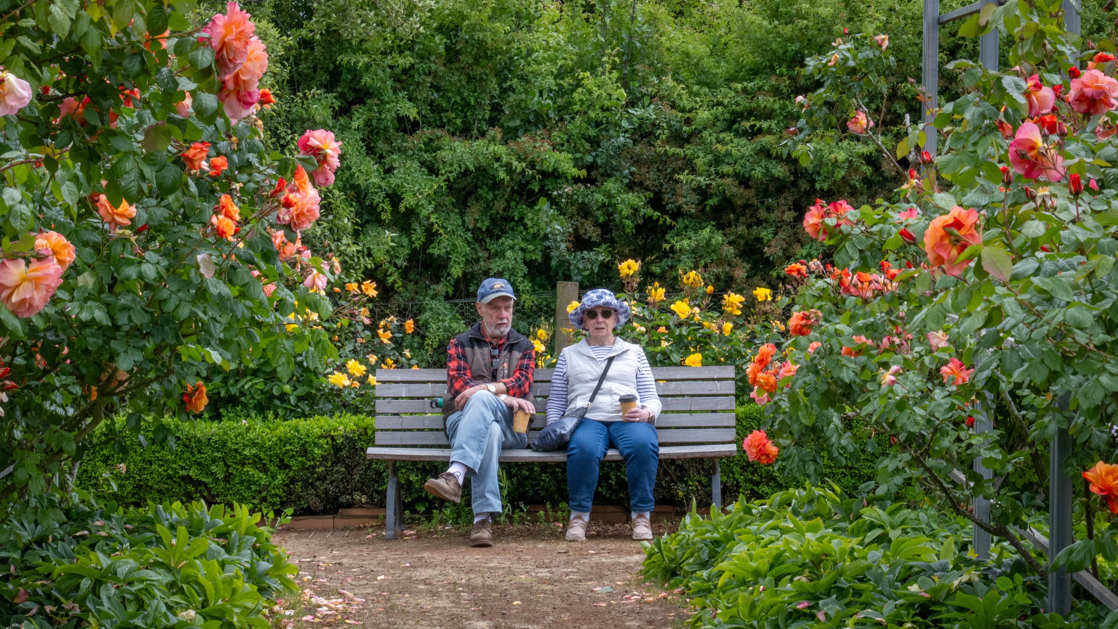 Geoff and Ann Sanderson of Longford take a rest during their visit to Woolmers Annual Festival of Roses in November.