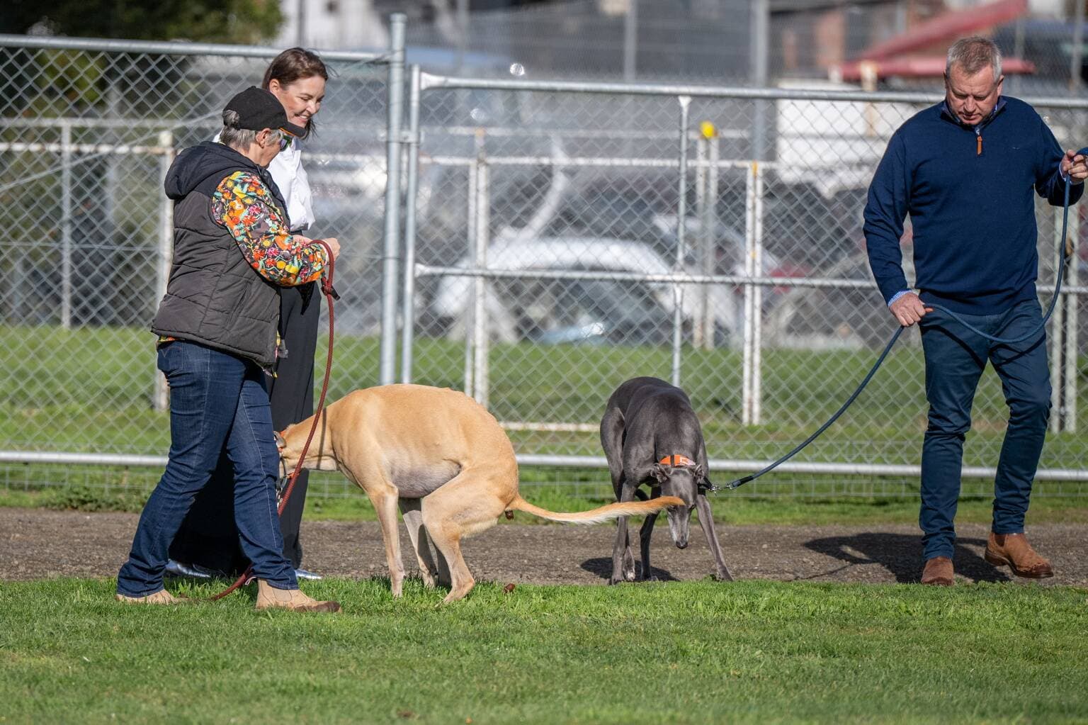 Premier Jeremy Rockliff with Andrea Bonner and Billy (dark dog), and Amanda Dawes with Happy (golden dog) of Launceston.