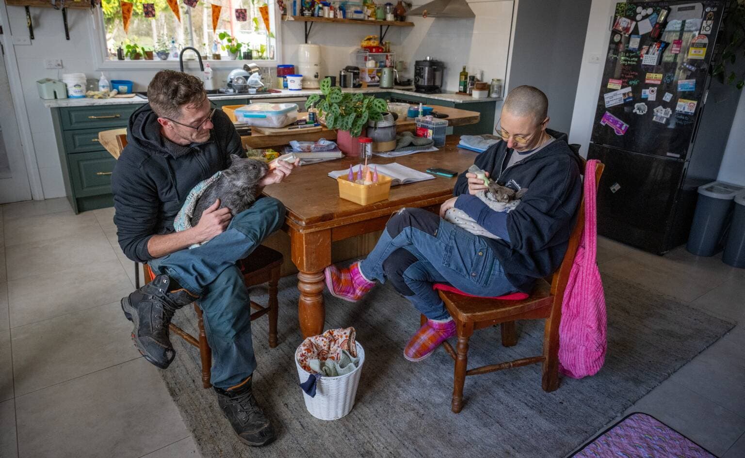 Duncan McInney and Cordelia, the 11 month old Forester Kangaroo, with Jess O'Connor and Twistie the 6 month old joey.