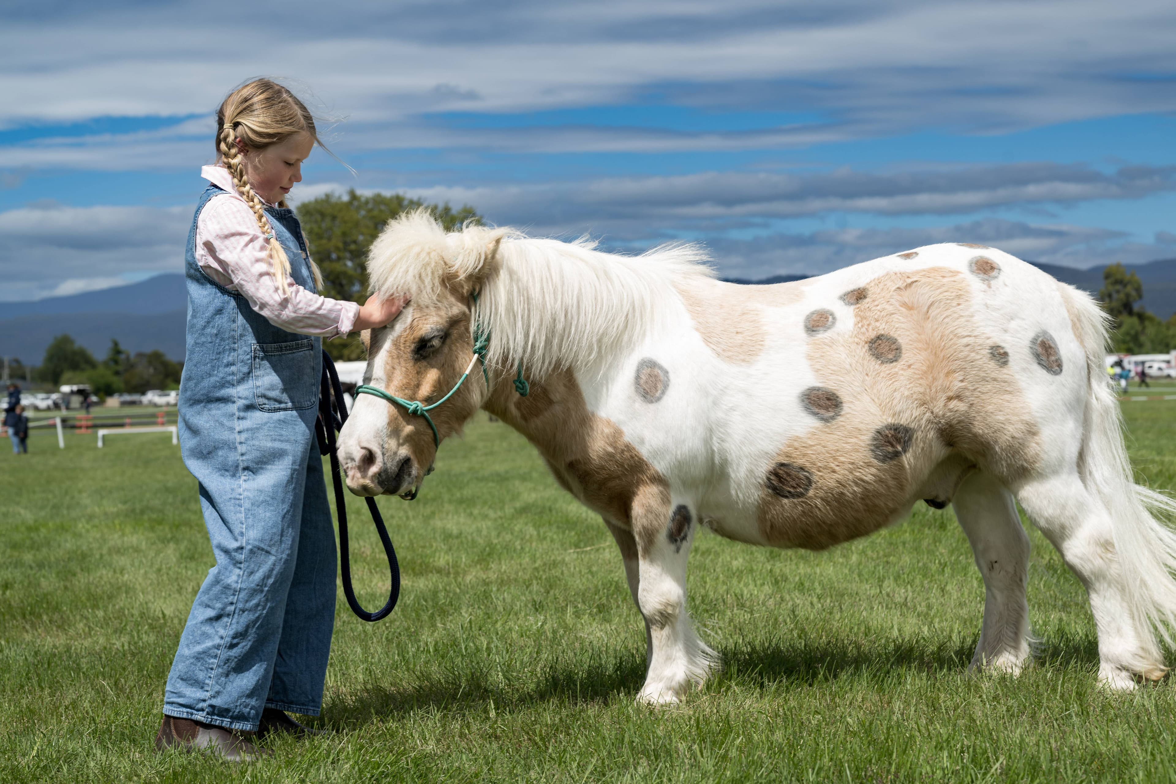 Hazel Chilcott, of Meander, with Applejack, at the Westbury Show on Saturday, November 8, 2025.