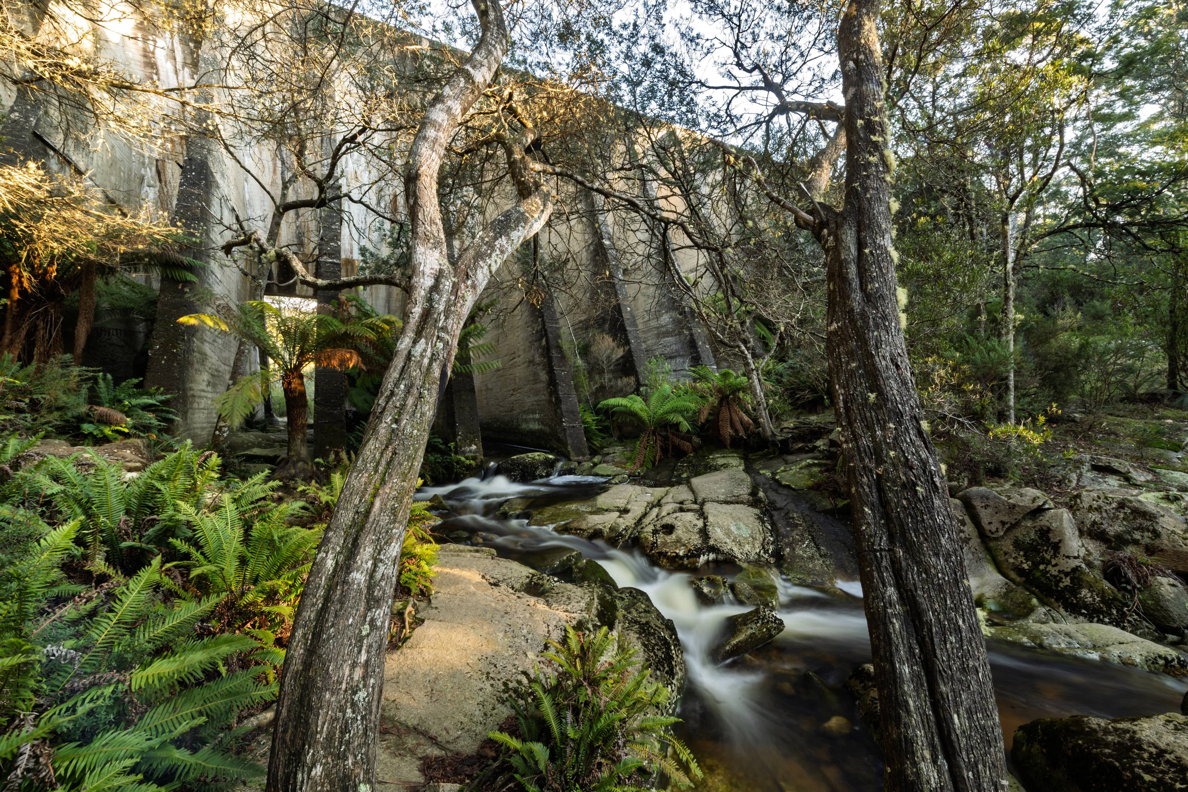 Mount Paris Dam in July.