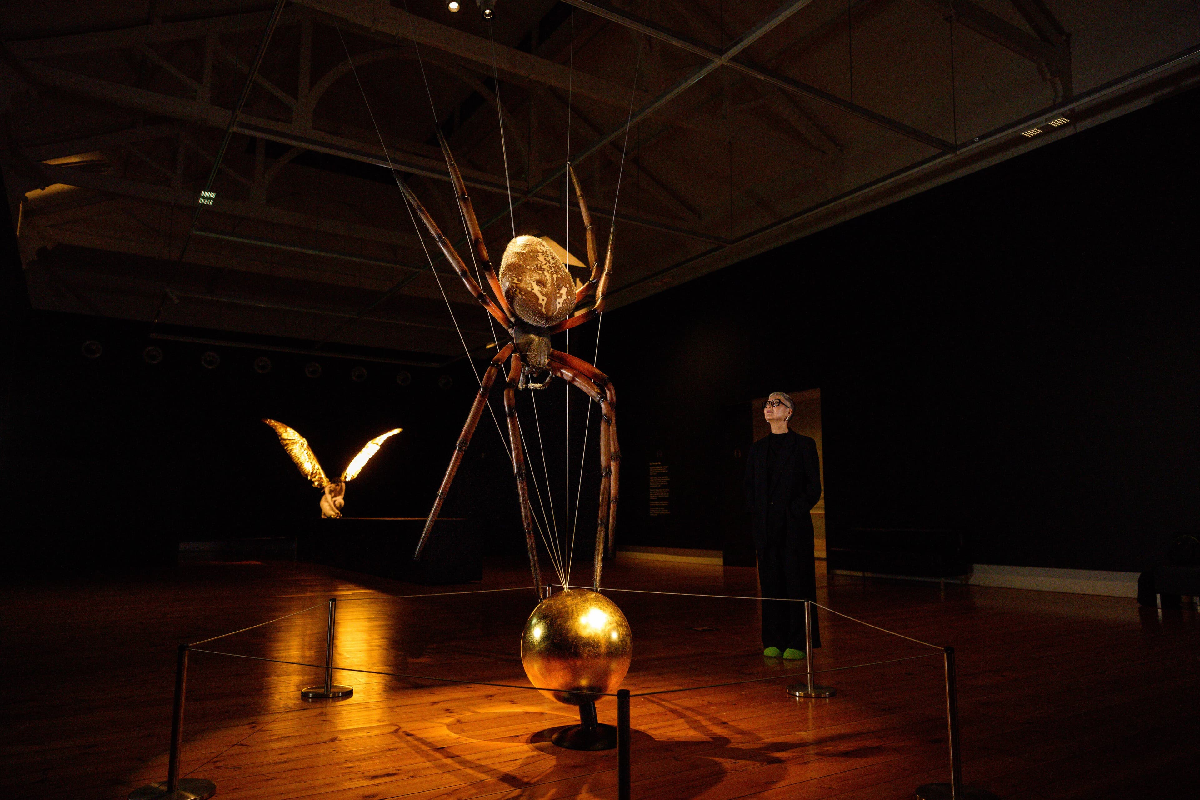 QVMAG Lead Curator Kellie Wells with a spider by Sam Jinks at QVMAG Royal Park on Monday, November 17, 2025.