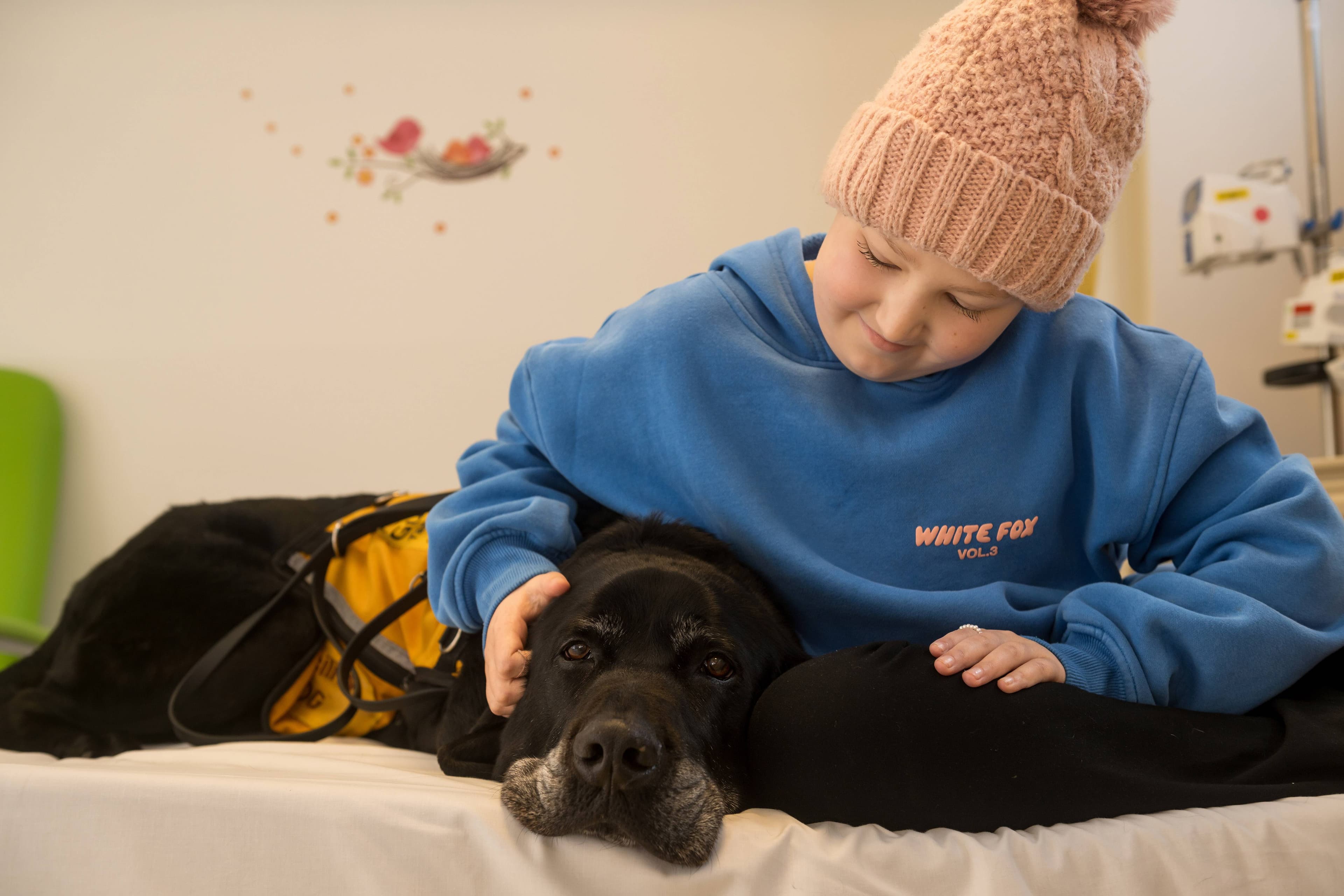 Gilbert the Facility Dog makes younger patients at the Launceston General Hospital feel more at ease when receiving treatment. Gilbert is with 11-year-old Acute Lymphoblastic Leukemia patient Izzy Phillips.
Monday September 8 2025 Picture by Phillip Biggs for The Examiner