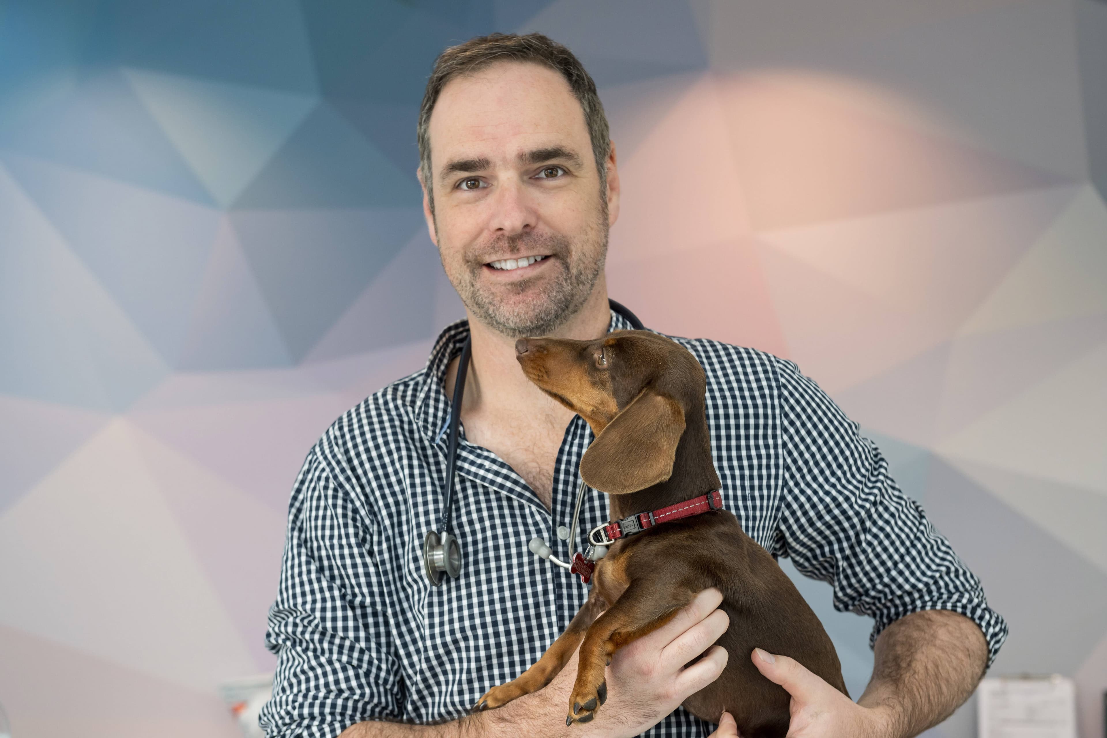 James Brown of Tasmanian Veterinary Surgical Specialists.