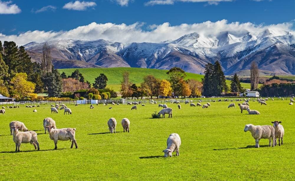 Cost-of-living pressure means many travellers are choosing to visit places closer to home, like New Zealand. Picture Shutterstock