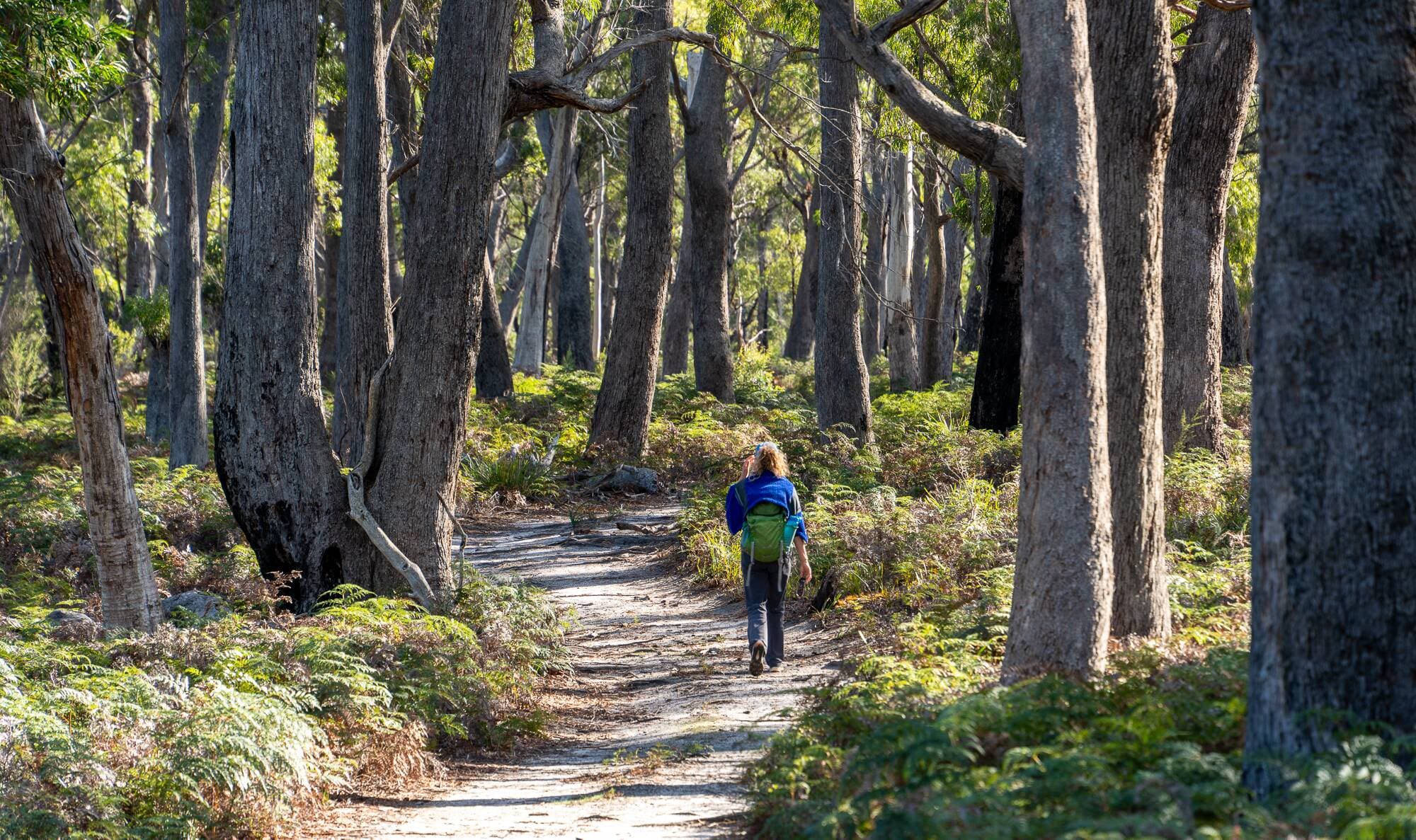 The Bay of Fires walk, Tasmania. Picture by Michael Turtle