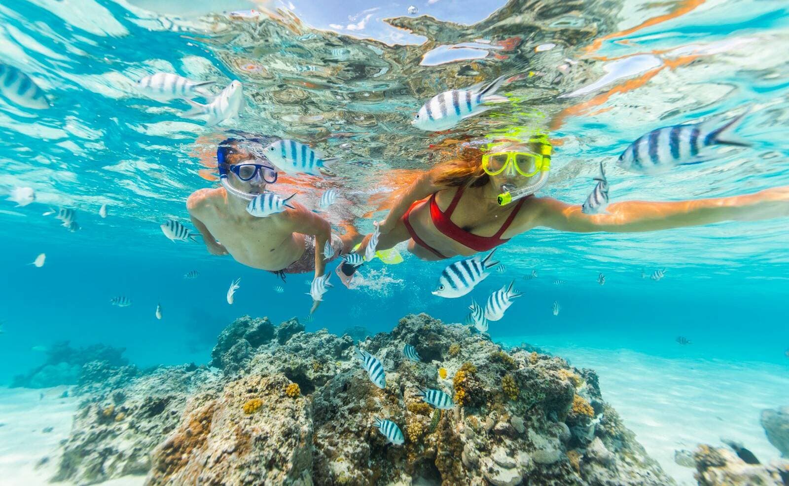 Snorkelling is one of the main drawcards in the Cook Islands. Picture by Alexandra Adoncello.
