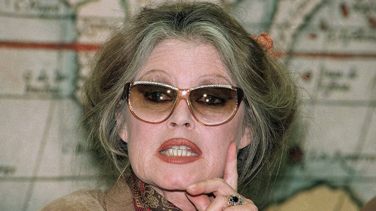 Film star Brigitte Bardot was an icon of the screen, and later became an animal rights activist. (AP PHOTO)