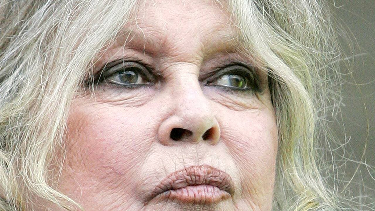 Bardot was convicted and fined five times in French courts of inciting racial hatred. (AP PHOTO)